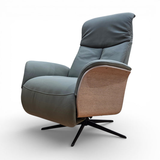 Arden Swivel & Power Recliner Chair