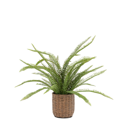 Faux Potted Fern Plant Large
