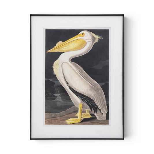Pellicano Framed Art