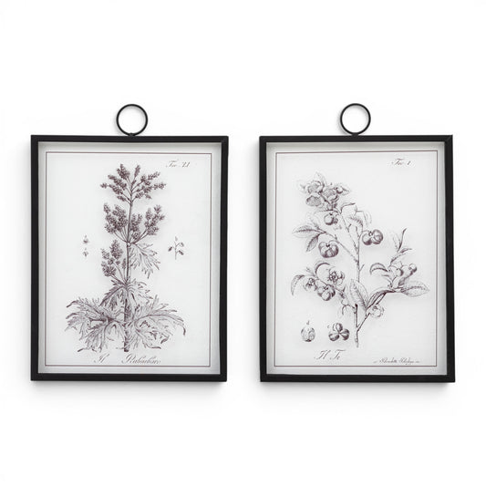 Petiole Framed Art Set of 2