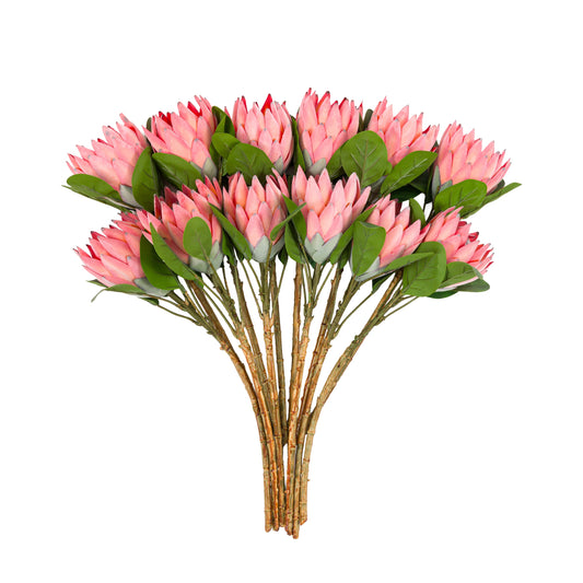 Faux Stem Statement Tropical Apricot - 12 pack