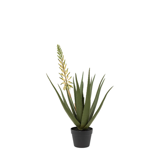 Faux Aloe Potted Plant with White Flower