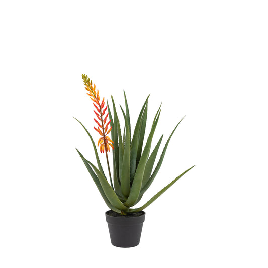 Faux Aloe Potted Plant with Orange Flower