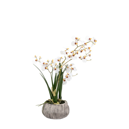 Faux Orchid White in Low Ceramic Pot