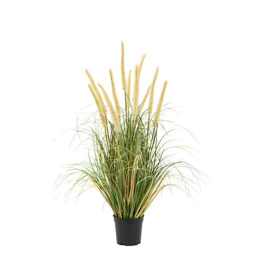 Faux Faux Potted Grass with Cattail Seed Heads Small