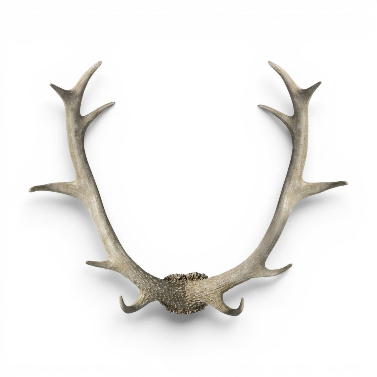 Bjorn Antler Wall Art White