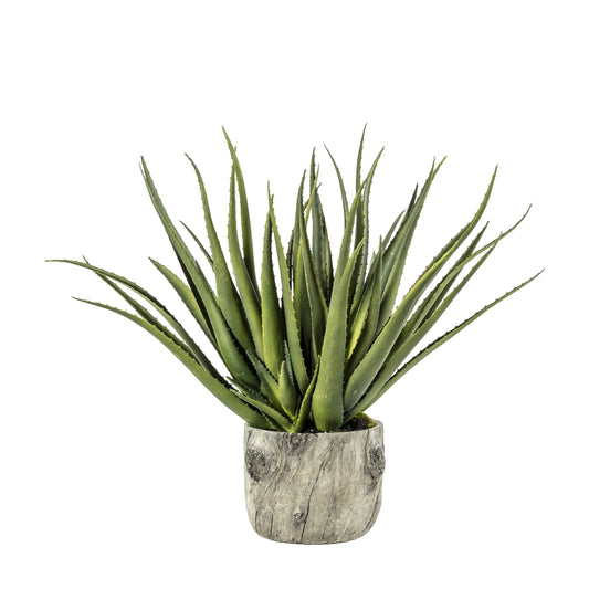 Faux Aloe with Bark Effect Pot