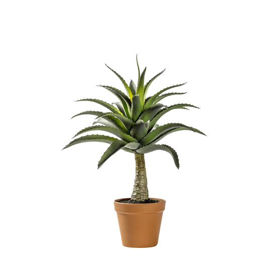 Faux Potted Agave
