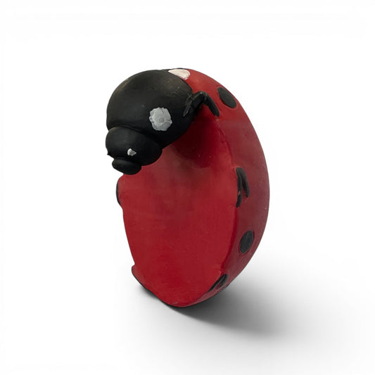 Eve Ladybird Pot Hanger - 2 Pack
