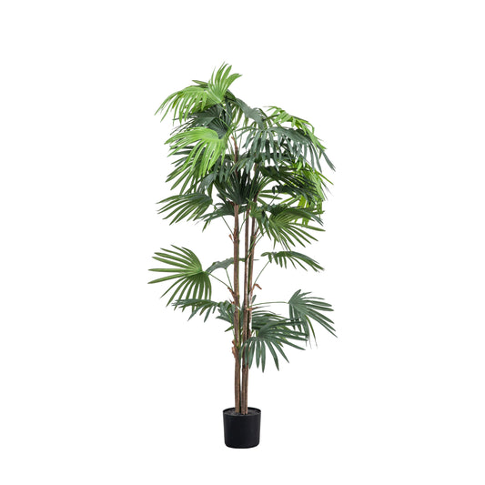 Faux Chinese Fan Palm Large