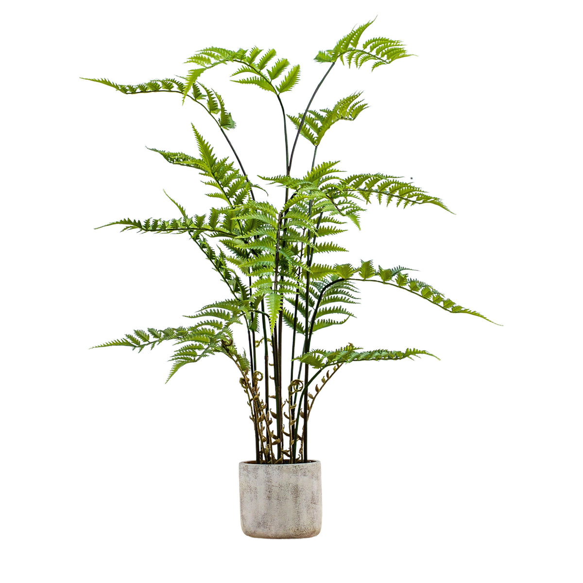 Faux Potted Fern in Cement Pot Large