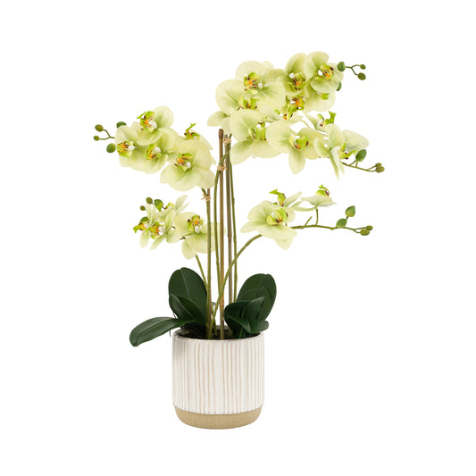 Faux Orchid in White Ribbed Ceramic Pot