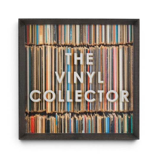 The Vinyl Collector Framed Art