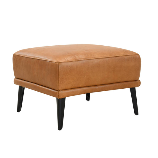Jia Tan Leather Footstool - Pieces For Places