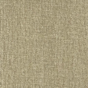 Washed Weave Fern