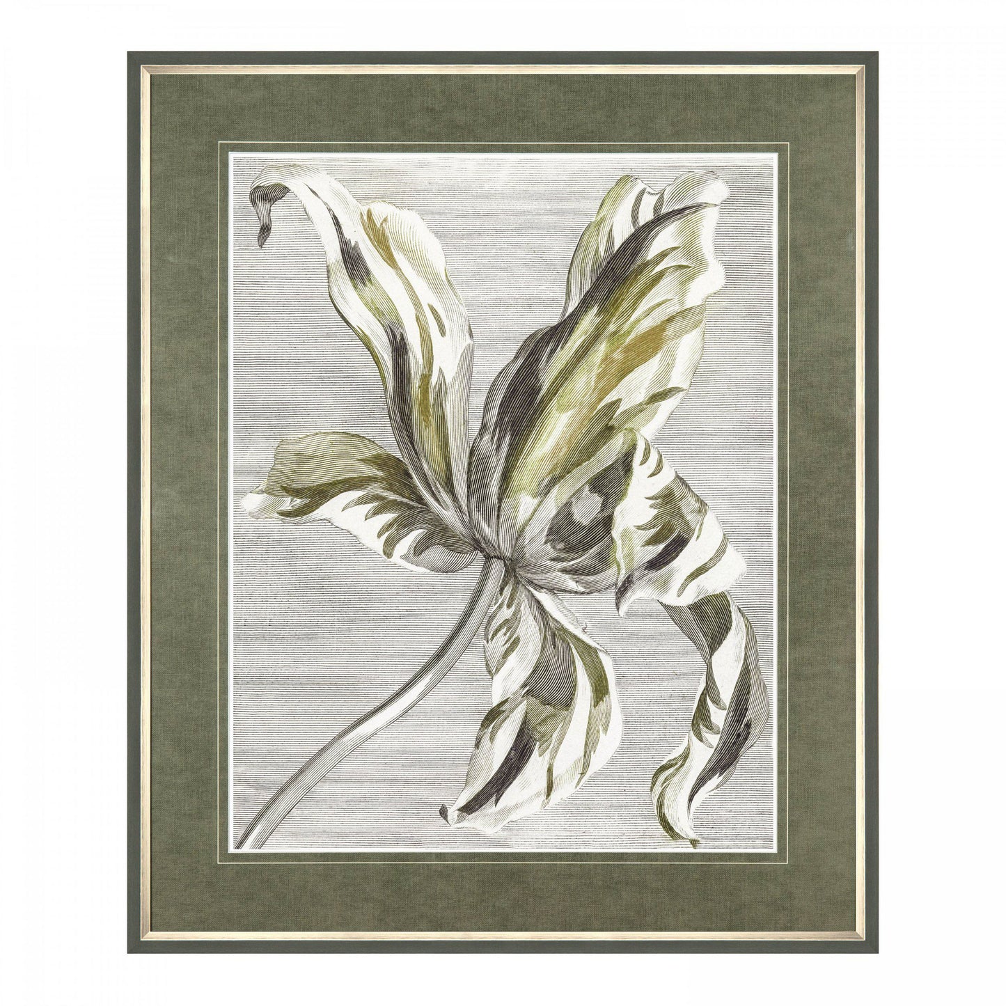 Tulip Bloom Framed Art