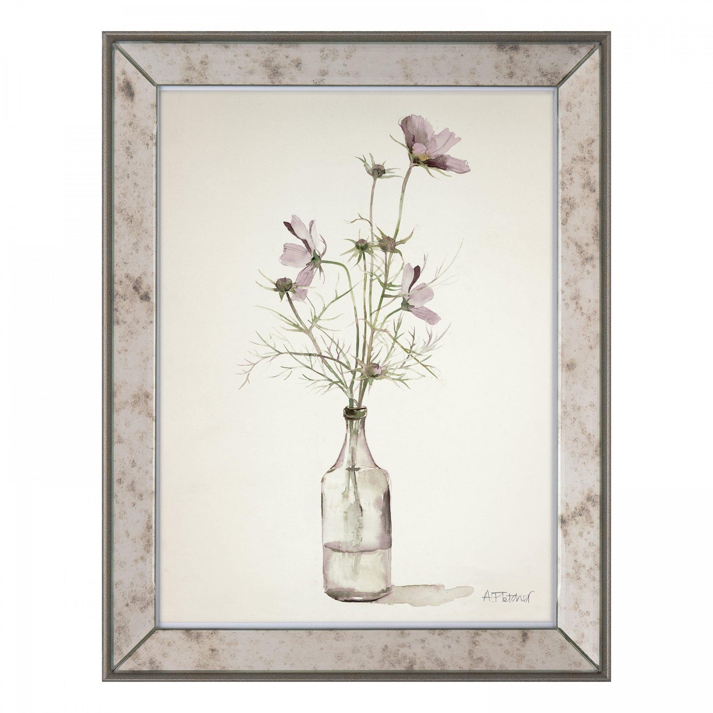 Cosmos Framed Art
