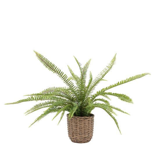 Faux Potted Fern Plant Medium