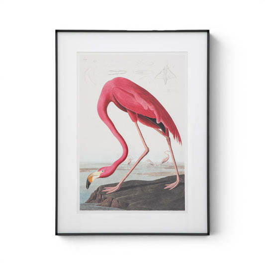 Wading Flamingo Framed Art