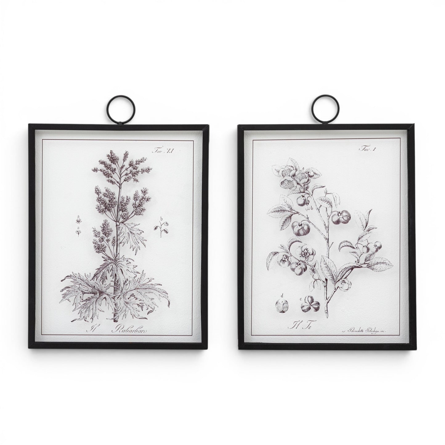 Petiole Framed Art Set of 2