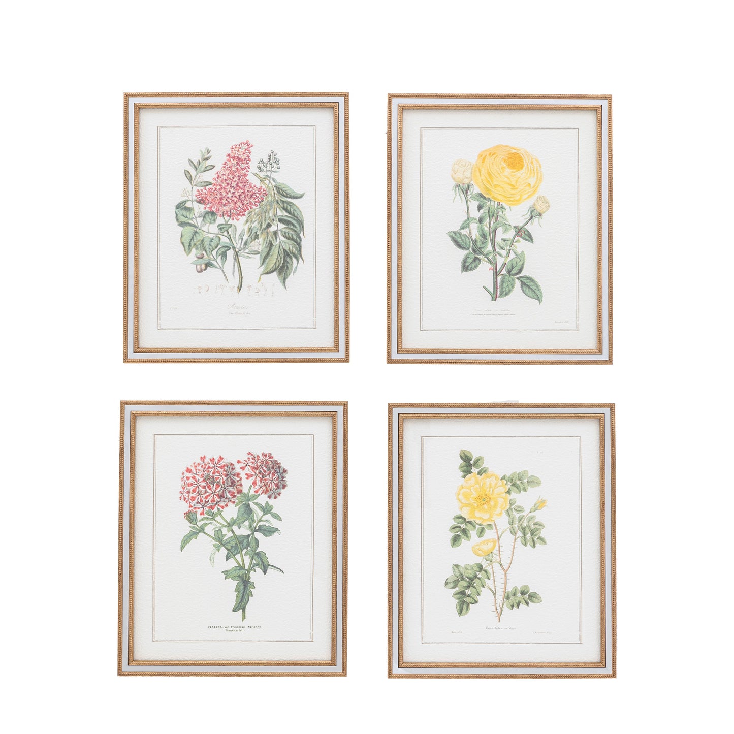 Floral Quartet Framed Art Set of 4