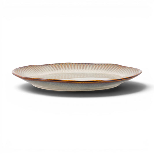 Organic Ridged Dinner Plate Stone 4pk