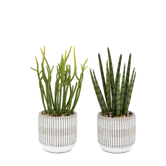Faux Small Succulents Ceramic Pots Set of 2