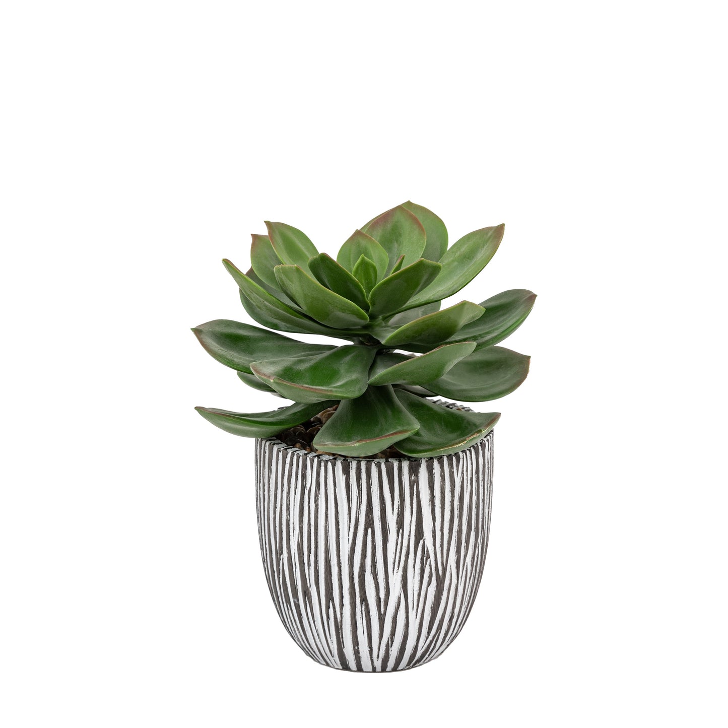 Faux Potted Succulent in Ribbed Black Ceramic Pot