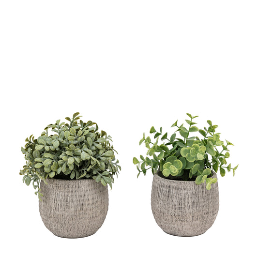 Faux Potted Plant Ceramic Scratch Pots Sage Set of 2