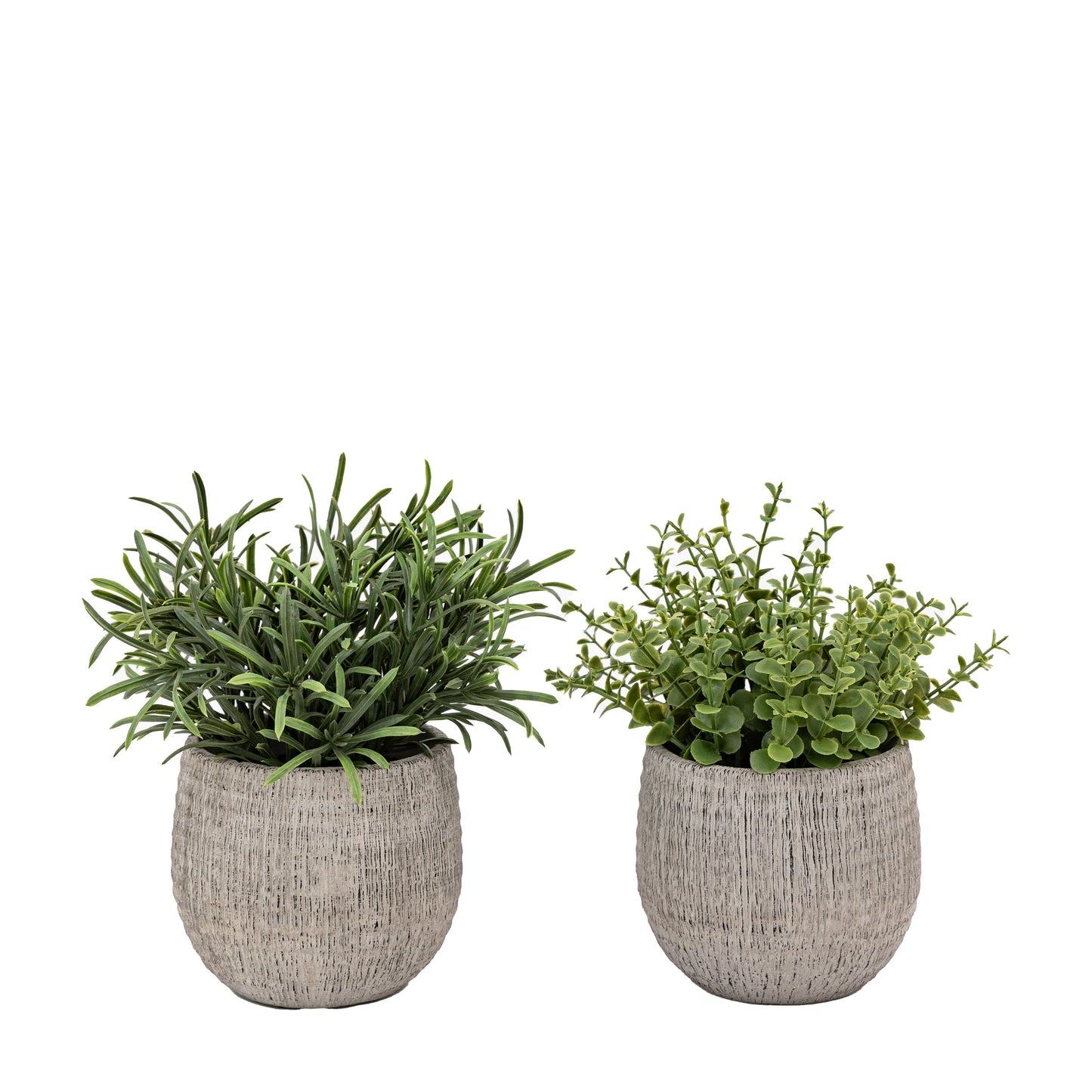Faux Potted Plant Ceramic Scratch Pot Rosemary Set of 2