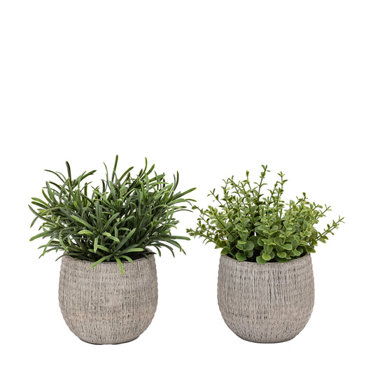 Faux Potted Plant Ceramic Scratch Pot Rosemary Set of 2
