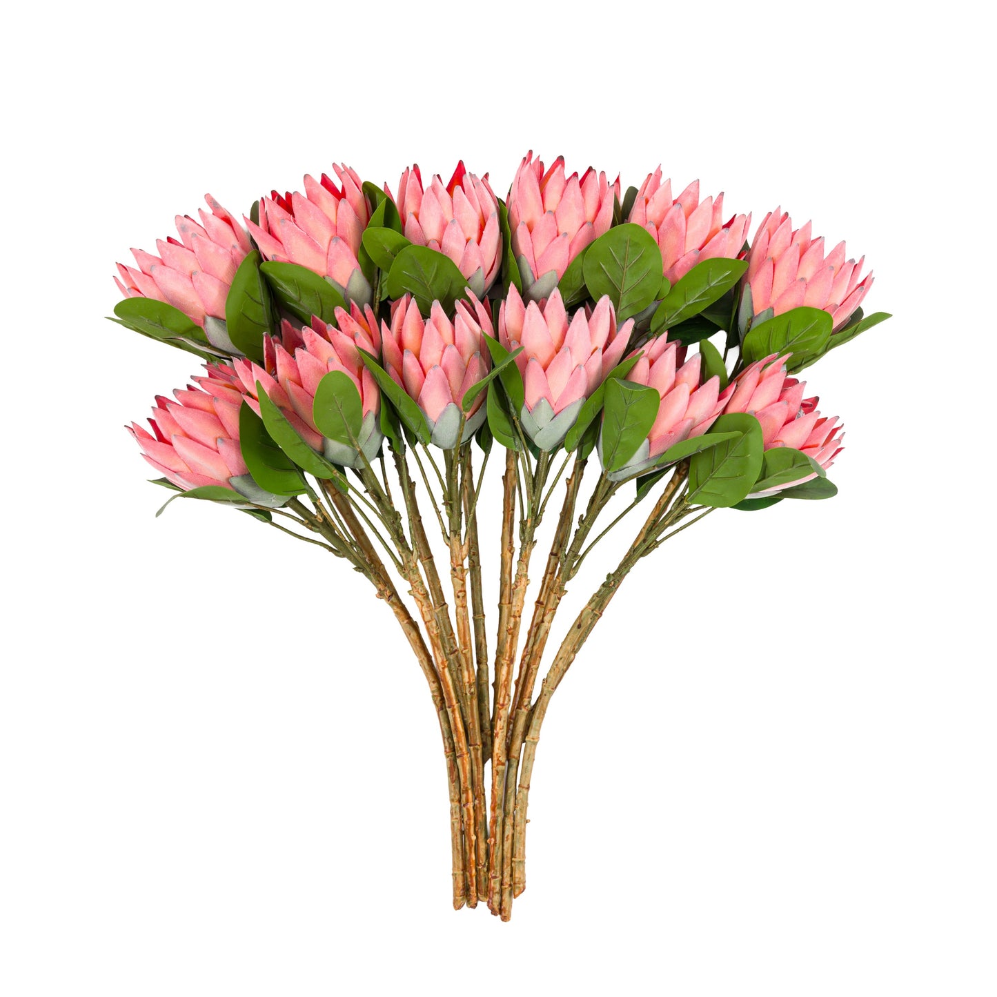 Faux Stem Statement Tropical Apricot - 12 pack