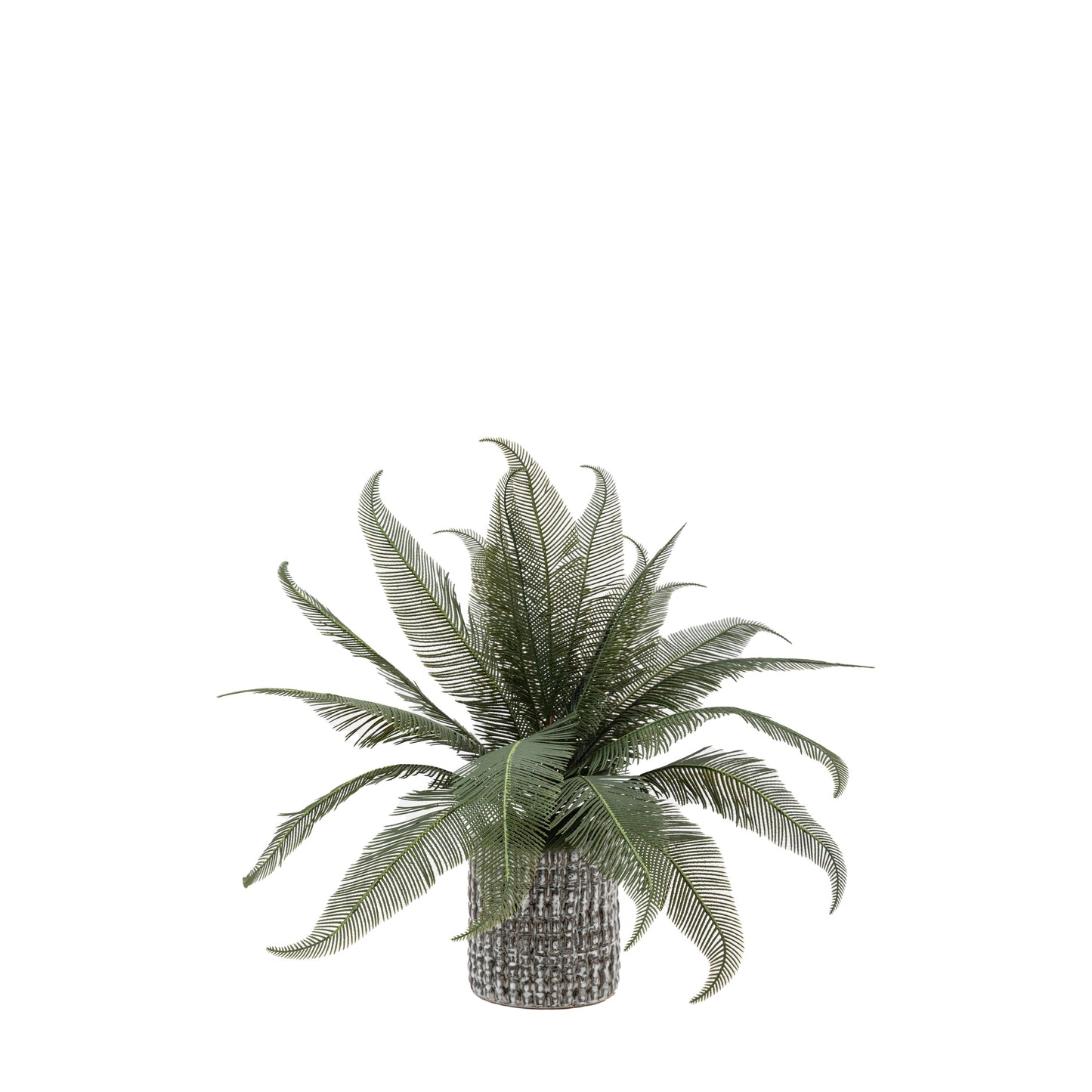 Faux Wide Fern in Concrete Pot