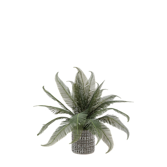 Faux Wide Fern in Concrete Pot