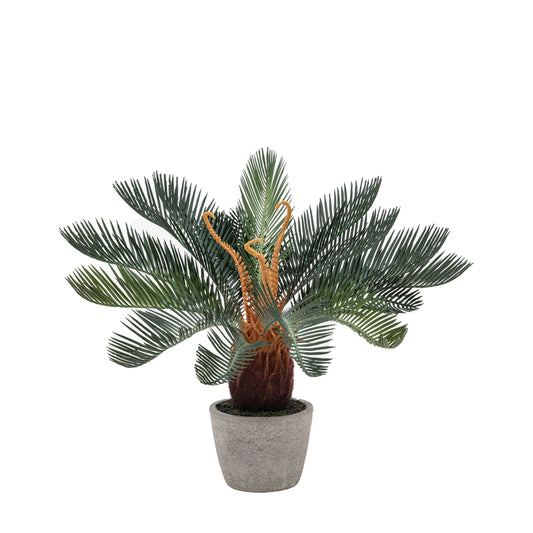 Faux Wide Palm in Concrete Pot