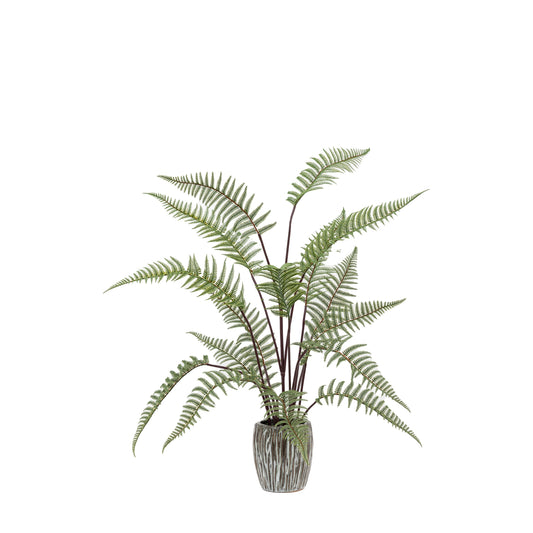 Faux Tall Fern in Textured Grey Ceramic Pot