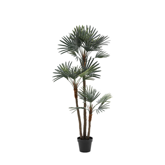 Faux Potted Statement Palm Large