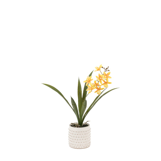 Faux Orchid Orange in White Ceramic Dot Pot