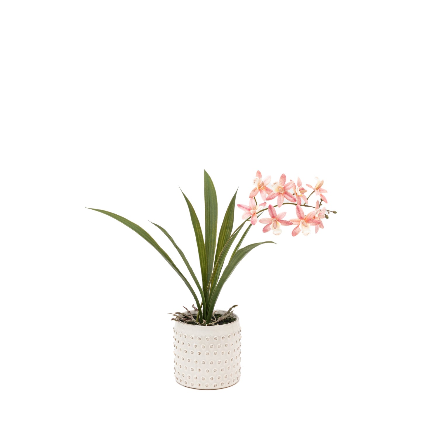 Faux Orchid Pink in White Ceramic Dot Pot