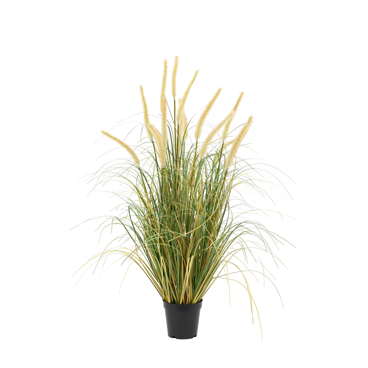 Faux Faux Potted Grass with Cattail Seed Heads Large