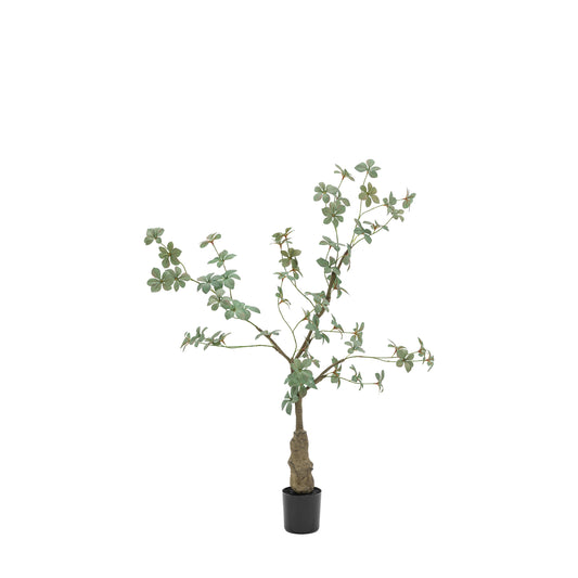 Faux Potted Rhodoleia 3ft Tree