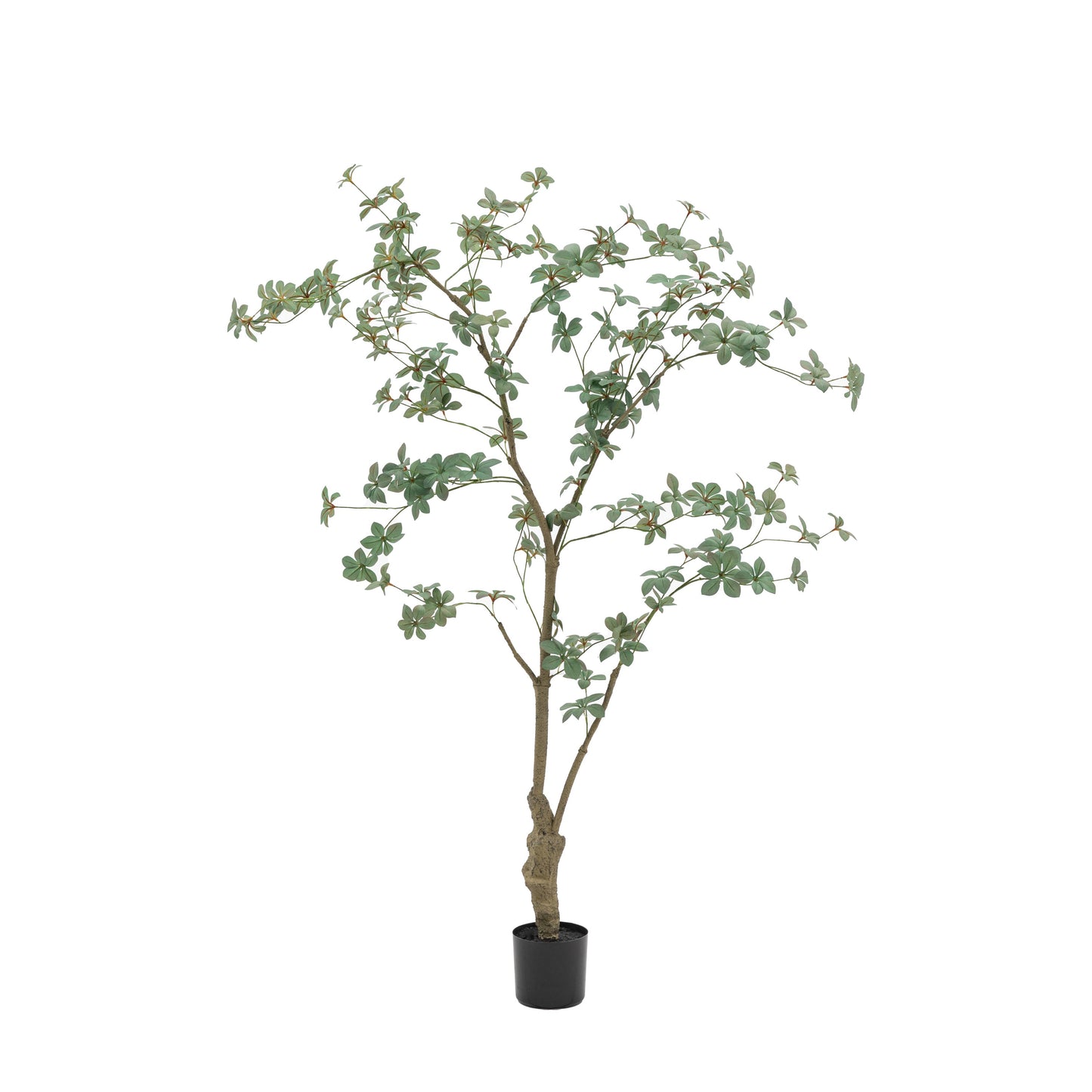 Faux Potted Rhodoleia 5ft Tree