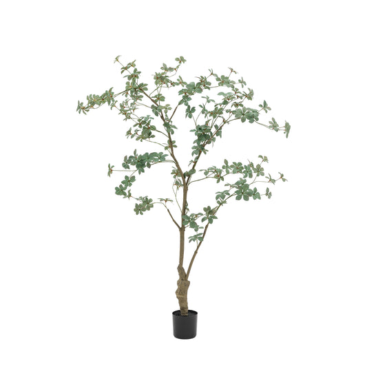 Faux Potted Rhodoleia 5ft Tree