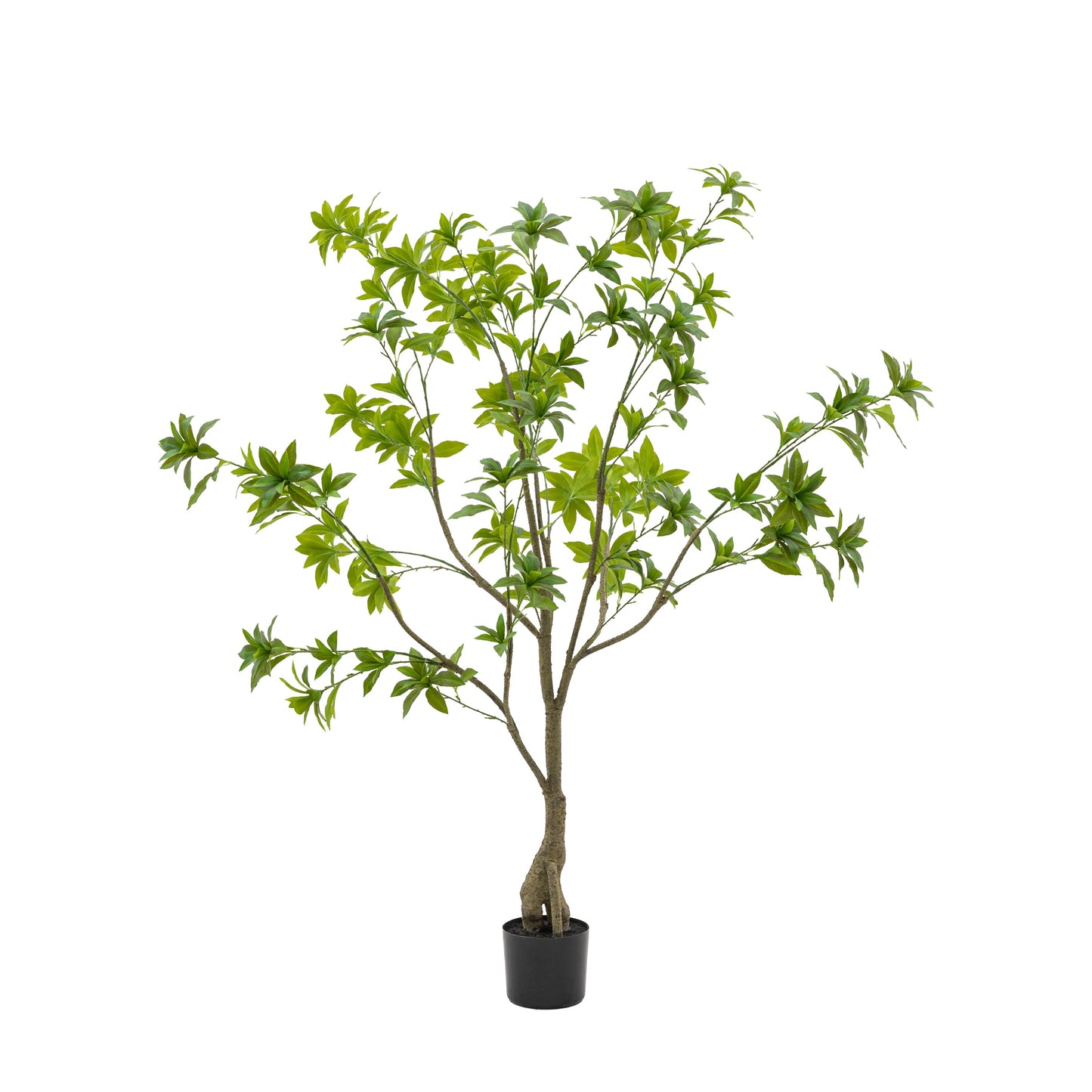 Faux Potted Pierisjaponica 5ft Tree