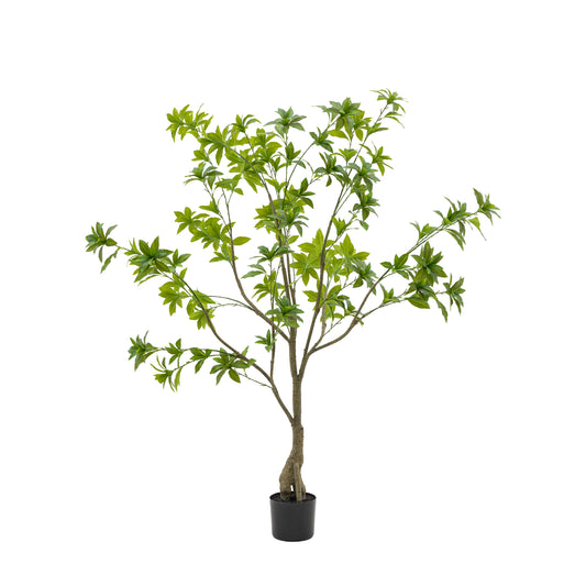 Faux Potted Pierisjaponica 5ft Tree