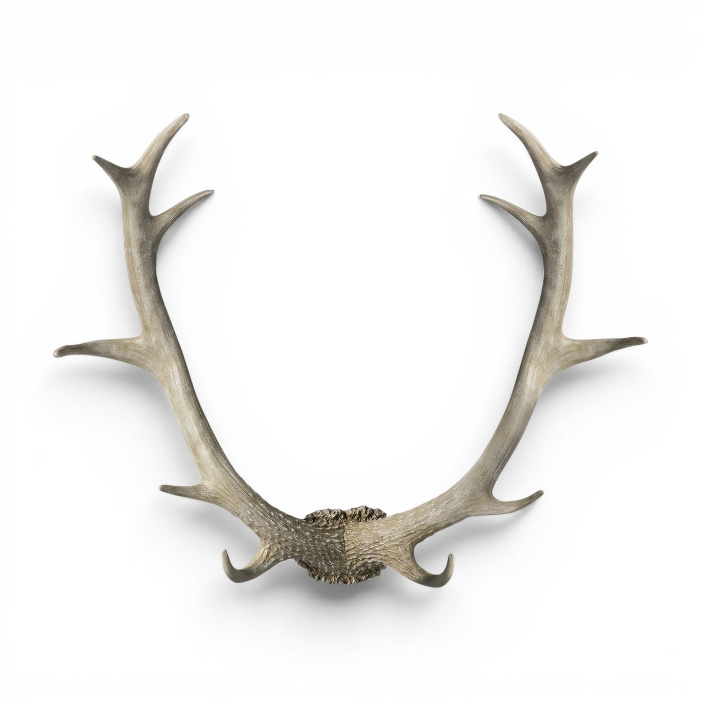 Bjorn Antler Wall Art White