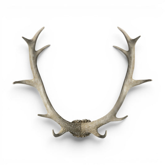 Bjorn Antler Wall Art White