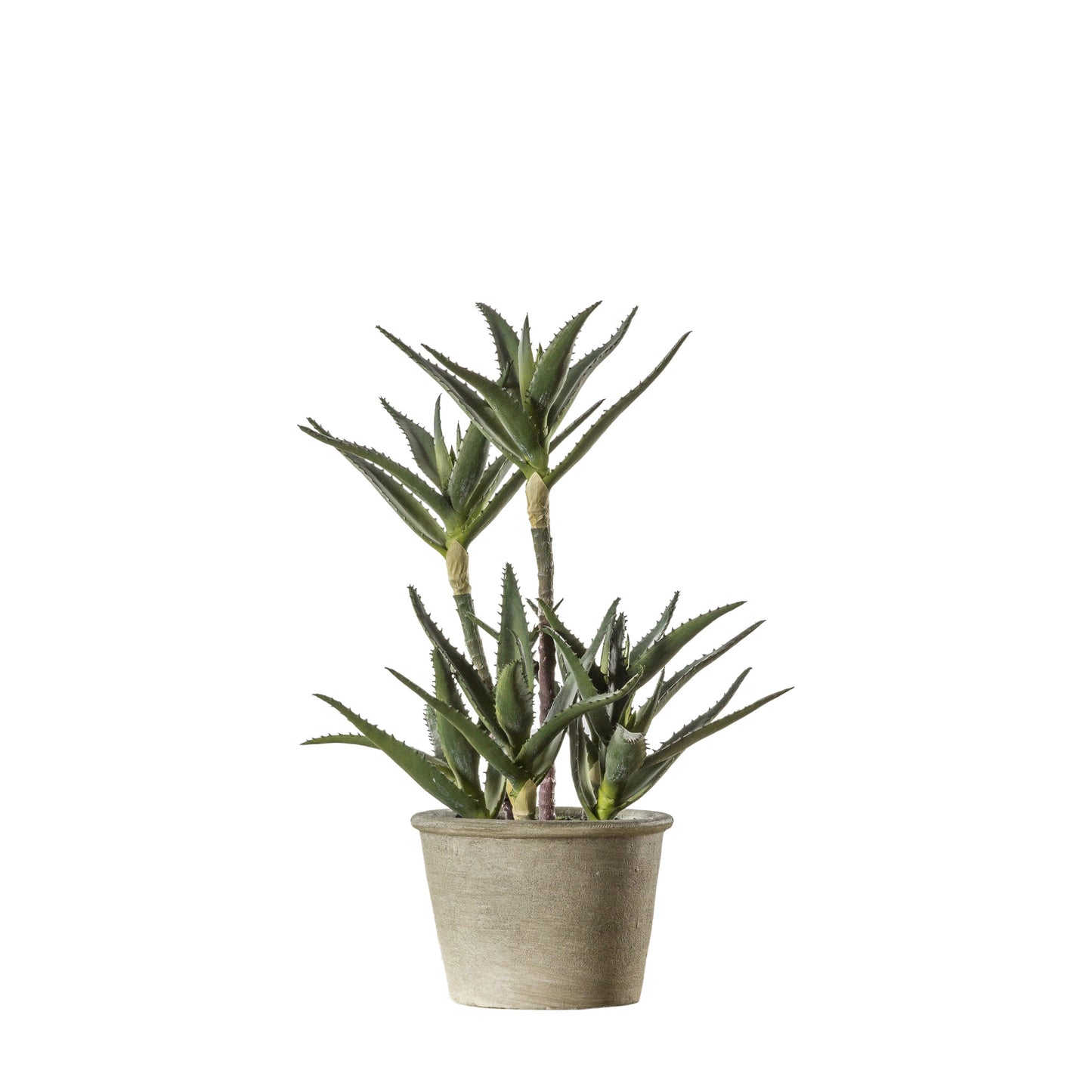 Faux Potted Aloe