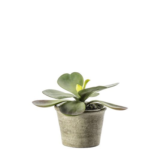 Faux Kalanchoe Pale Green