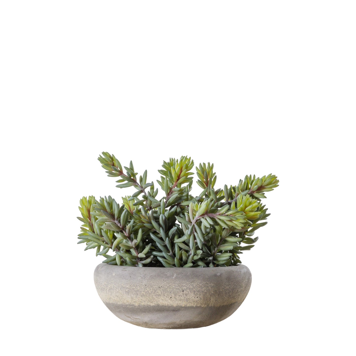 Faux Sedum Green with Cement Bowl Large